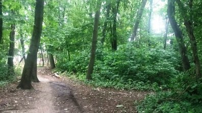 Фото: Парк та два озера в Львівській громаді матимуть балансоутримувача