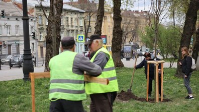 фото ілюстративне, автор: Роман Балук