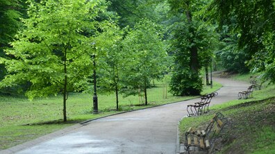Зелені дерева і лавочки в одному з парків міста