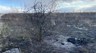 Фото: Синоптики попередили про високу і надзвичайну пожежну небезпеку на найближчі дні