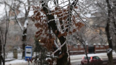 Фото ілюстративне, автор Роман Балук