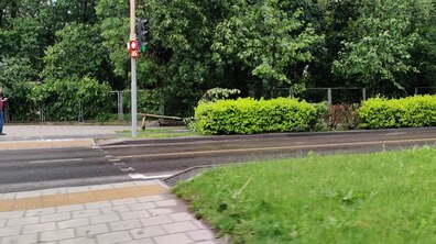 Фото: В місті обстежили усі проблемні ділянки через негоду та буревій: повалено 72 дерева