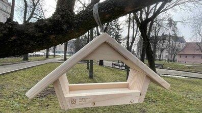 Фото: У міських парках та скверах для птахів встановлюють годівнички нового формату