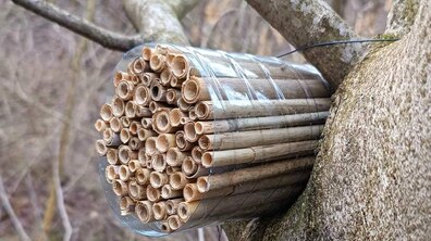 Фото: У парку «Знесіння» розвісили унікальні очеретяні гнізда для дослідження