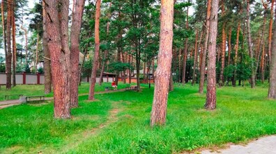 Фото: У Львівській громаді хочуть створити новий сквер