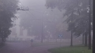 Густий туман на одній з вулиць міста. Ледь видніють силуети дерев. На задньому фоні будинок із світлим фасадом