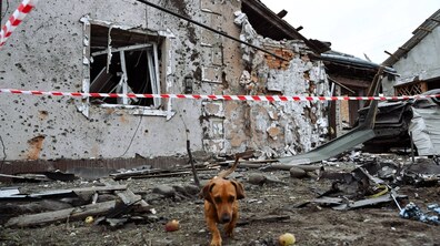 Знищений будинок після удару безпілотників. Довкола нього загороджувальна стрічка. У центрі біля будинку йде маленький рудий собака