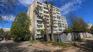 велике дерево на фоні будинку, на якому всі гілки обрізали