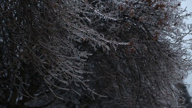 фото ілюстративне, автор: Роман Балук