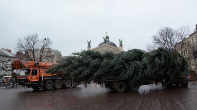 Фото: Головну ялинку Львова демонтують наступного понеділка
