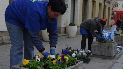 Фото: Міська рада закликає львів’ян долучитися до кампанії з заквітчування фасадів будинків
