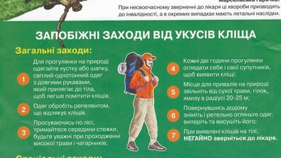 Фото: За епідсезон цього року у Львові з укусами кліщів звернулось 170 осіб