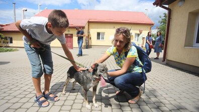 фото ілюстративне, автор: Роман Балук