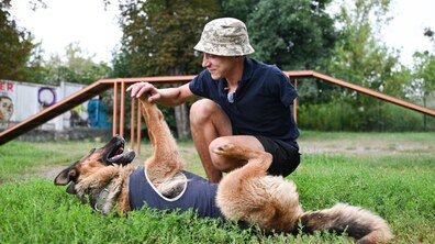 фото Анастасії Смольєнко для Львівської міської ради