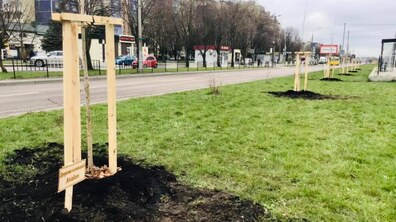 Фото: На вихідних у Львові висадили дерева у межах акції «Озеленення планети»
