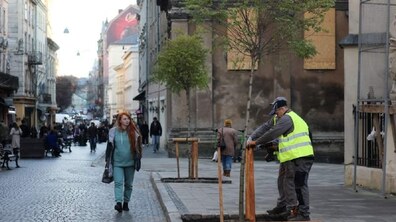 Висадка дерев у центрі Львова. Поруч вулицею прогулюються люди