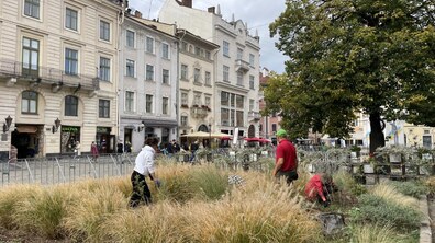 Фото: Садівники Львова упорядкували клумбу на площі Ринок