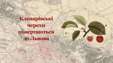 Фото: Завтра у Ботанічному саду висаджуватимуть клепарівські черехи