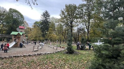 Фото: Сьогодні в парку Франка висаджують 6 дерев