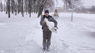 Чоловік тримає на руках білого дорослого лебедя. На фоні засніжений парк. Поруч лавки та качелі