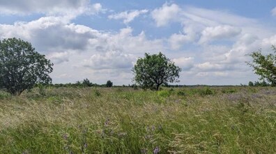 Фото: Львівська міська рада допомогла відстояти в суді збереження заказника «Торфовище Білогорща»
