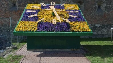 Фото: У Львові вже заквітчали квітковий годинник