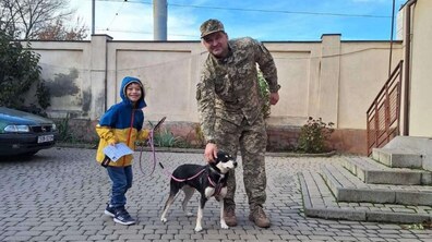 Фото: За місяць ЛКП «Лев» прилаштувало 27 тварин
