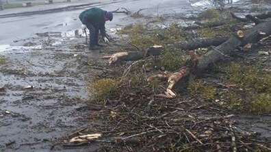Фото: Комунальні служби з 7 год ранку залучені до ліквідації наслідків нічного шквального вітру