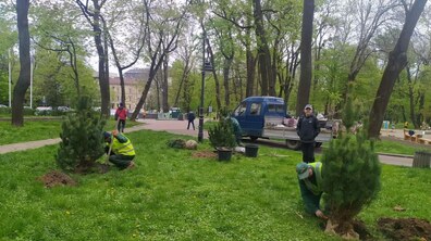Фото: Львів'яни в межах акції "Хочу посадити дерево" висадили 206 дерев у місті
