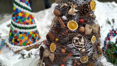 Фото: У Львові нагородять переможців конкурсу «Збережемо життя ялинці»