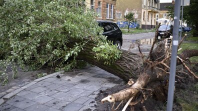 фото умовне, автор: Маркіян Лисейко