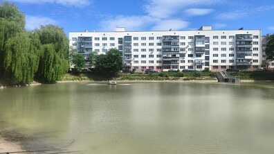 Велика водойма сіро-зеленого кольору, яку нещодавно очищали науковці. Позаду водойми невисока міська забудова та парк.