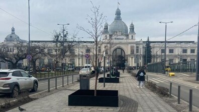 Фото: На вул. Чернівецькій встановили захисні огородження для дерев за прикладом Вільнюса