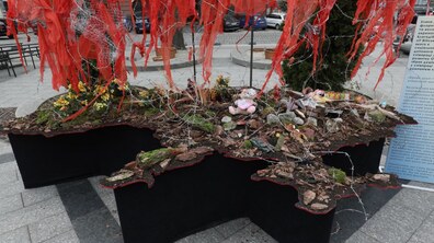Фото - Роман Балук