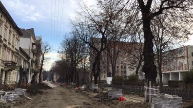 Фото: «В підсумку, дерев стане більше, а заміні підлягає трохи більше 40% озеленення вулиці», — О. Сладкова про роботи на вул. Пекарській