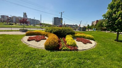 Фото: Сихів у квітах: на території району облаштовують квіткові композиції