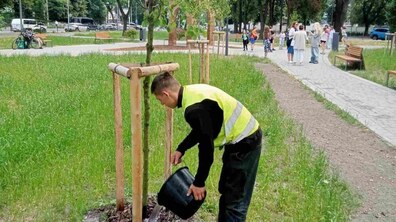 чоловік у спецодязі поливає з відра саджанець молодого дерева