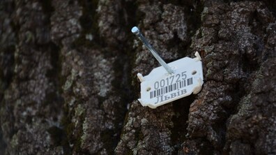 фото: Олександр Мазуренко