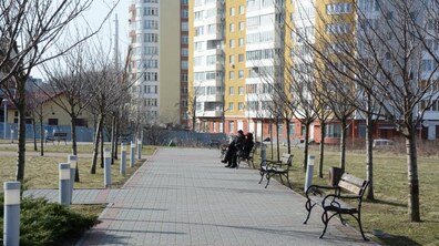 Фото: Цьогоріч у Львові висадили понад 4 тис зелених насаджень