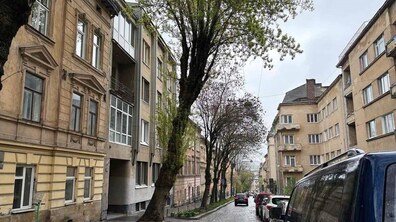 Вузька міська вулиця, викладена бруківкою. З лівого боку росте велика стара тополя. Стовбур дерева не росте вертикально, а приблизно на рівні людського зросту він має різкий вигин і сильно нахиляється над дорогою. По обидва боки від дерева стоять багатоповерхові житлові будинки старої забудови, а вздовж правого боку дороги припарковано ряд автомобілів.