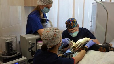 Фото: У Львові відкрили першу стоматологію для тварин