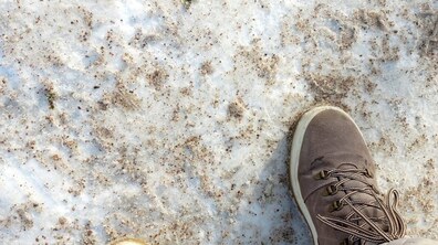 Фото: У парках Львова використовуватимуть дрібний щебеневий відсів для посипання доріжок