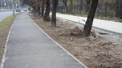 Фото: Представники міськради здійснять робочий виїзд на вул. Княгині Ольги для обговорення доцільності облаштування заїздів