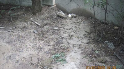 Фото: Інститут просвіти розповів про особливості роботи першого в Україні екопатруля, який запрацює у Львові