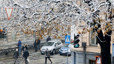 фото ілюстративне, автор: Роман Кайман