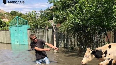 фото: Суспільне