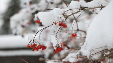 Ілюстративне фото, автор - Роман Балук