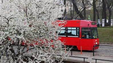фото ілюстративне, автор: Роман Балук