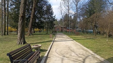 Доріжка в одному з парків Львова. Поруч з нею дерев’яна коричнева лавка. Трохи далі стоїть смітник. Довкола зелена трава та дерева