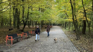 осінній парк Львова. Пожовкле листя на деревах. Люди, а також собака, прогулюються алеєю. Збоку від доріжки лавки для відвідувачів